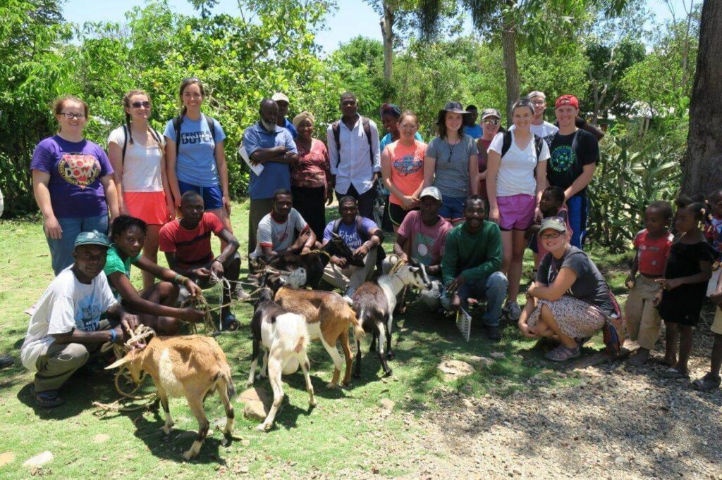 Delivering goats in the community of Lapila