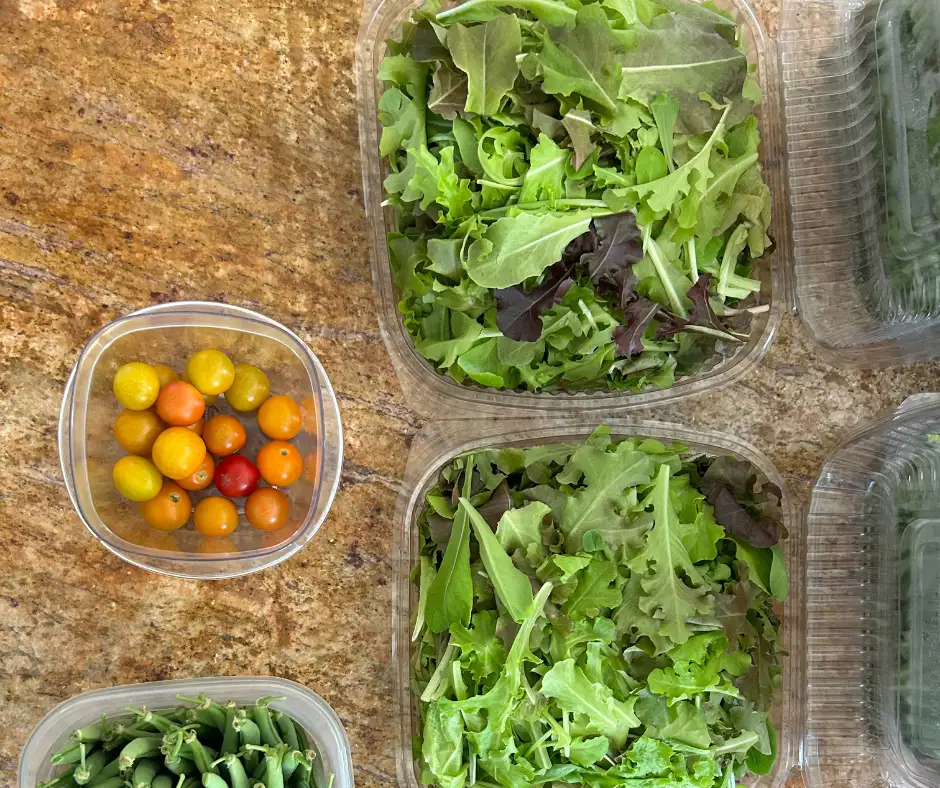 11 - JULY AG - Abaco