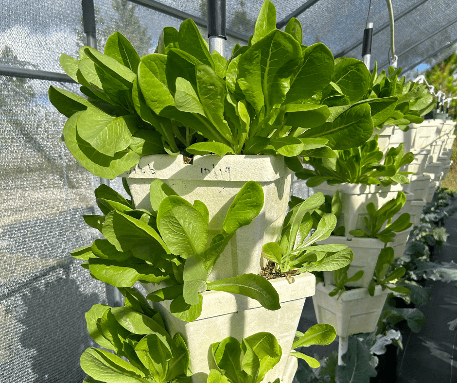 16 - JULY AG - Abaco