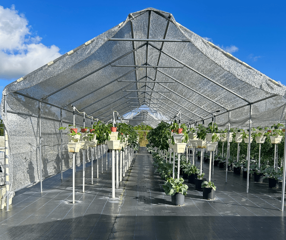 17 - JULY AG - Abaco