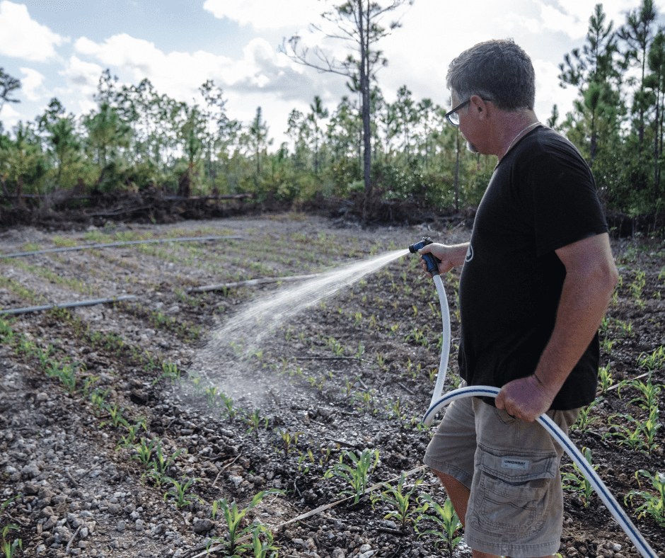 25 - JULY AG - Abaco
