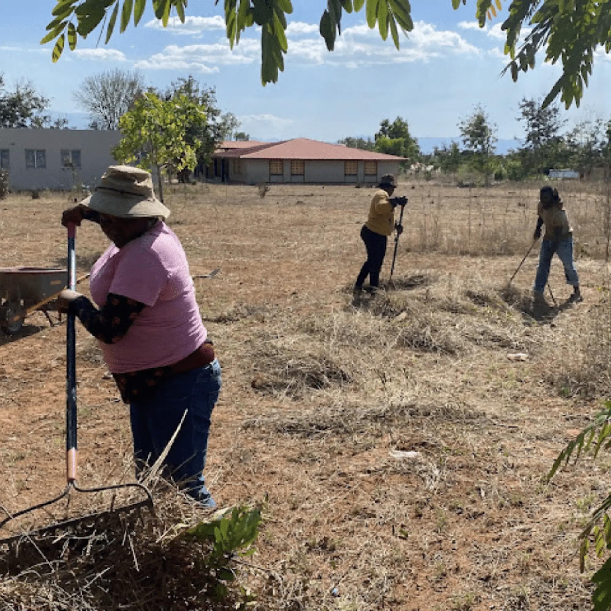 ChristiBlog3.25.25-1