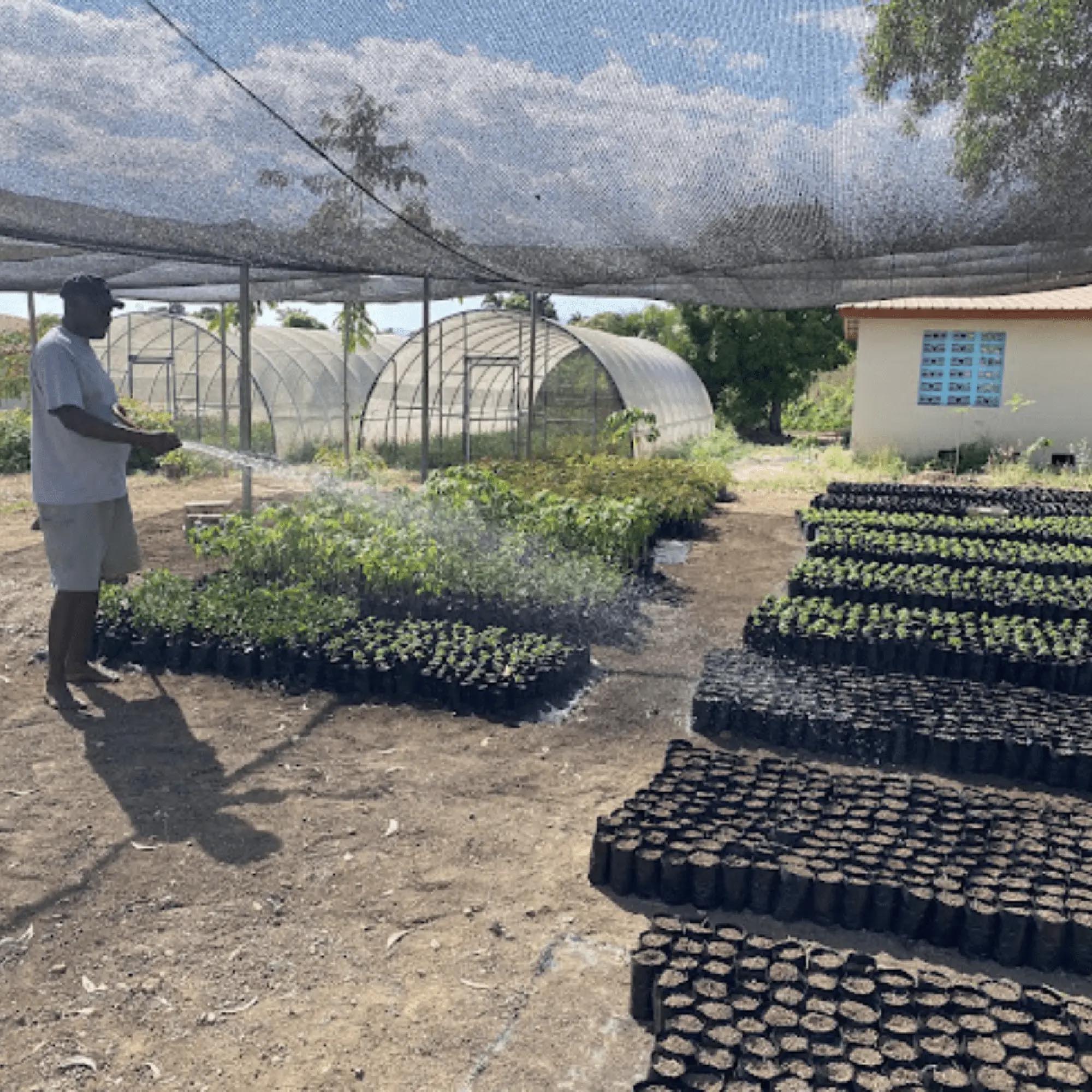 ChristiBlog3.25.25-2