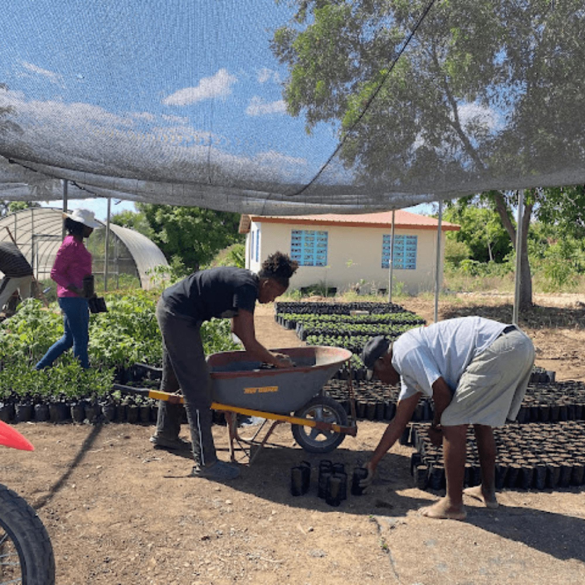 ChristiBlog3.25.25-3