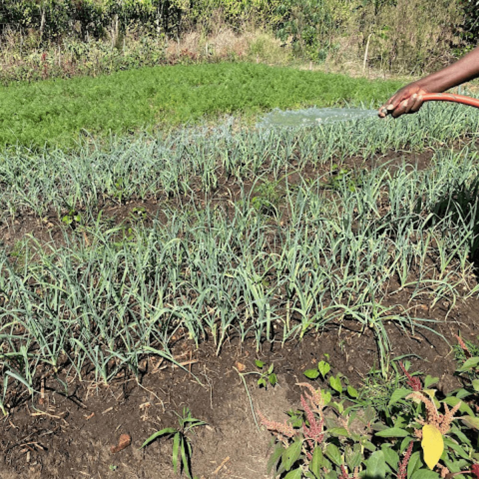 ChristiBlog3.25.25-7