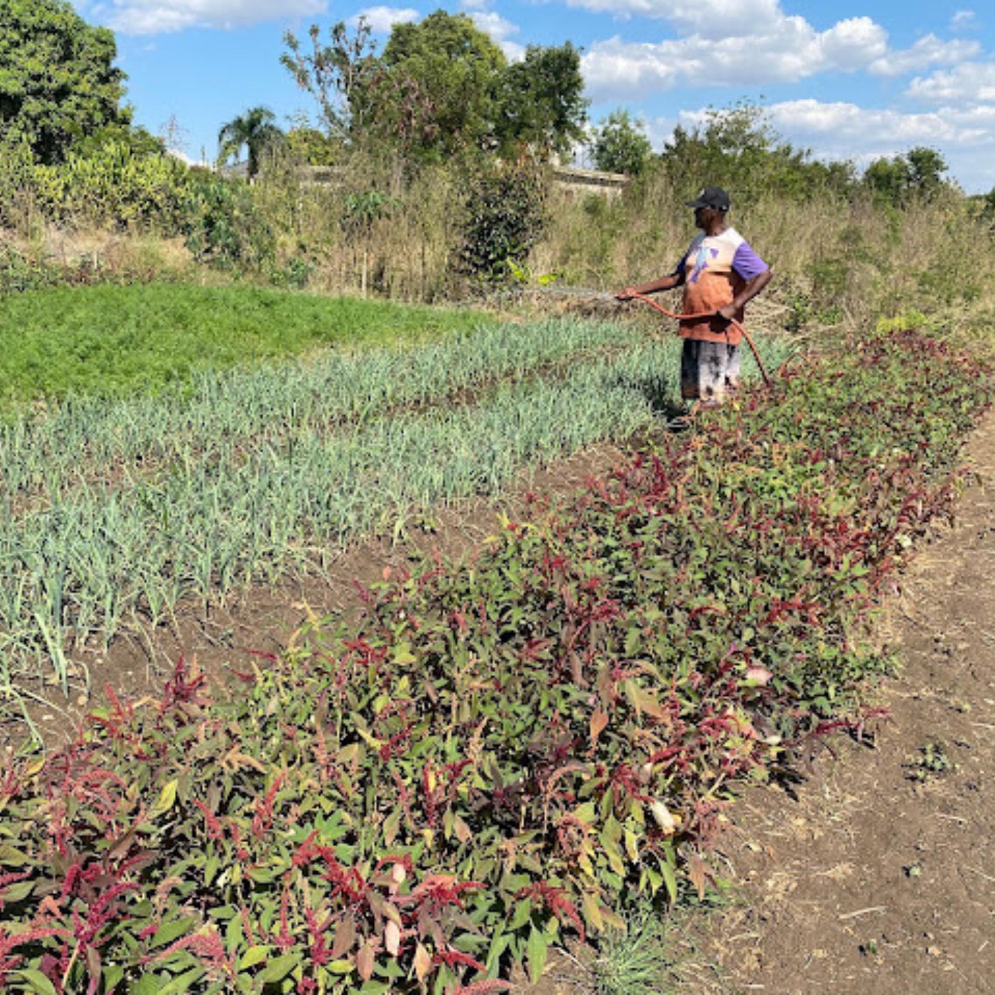 ChristiBlog3.25.25-8