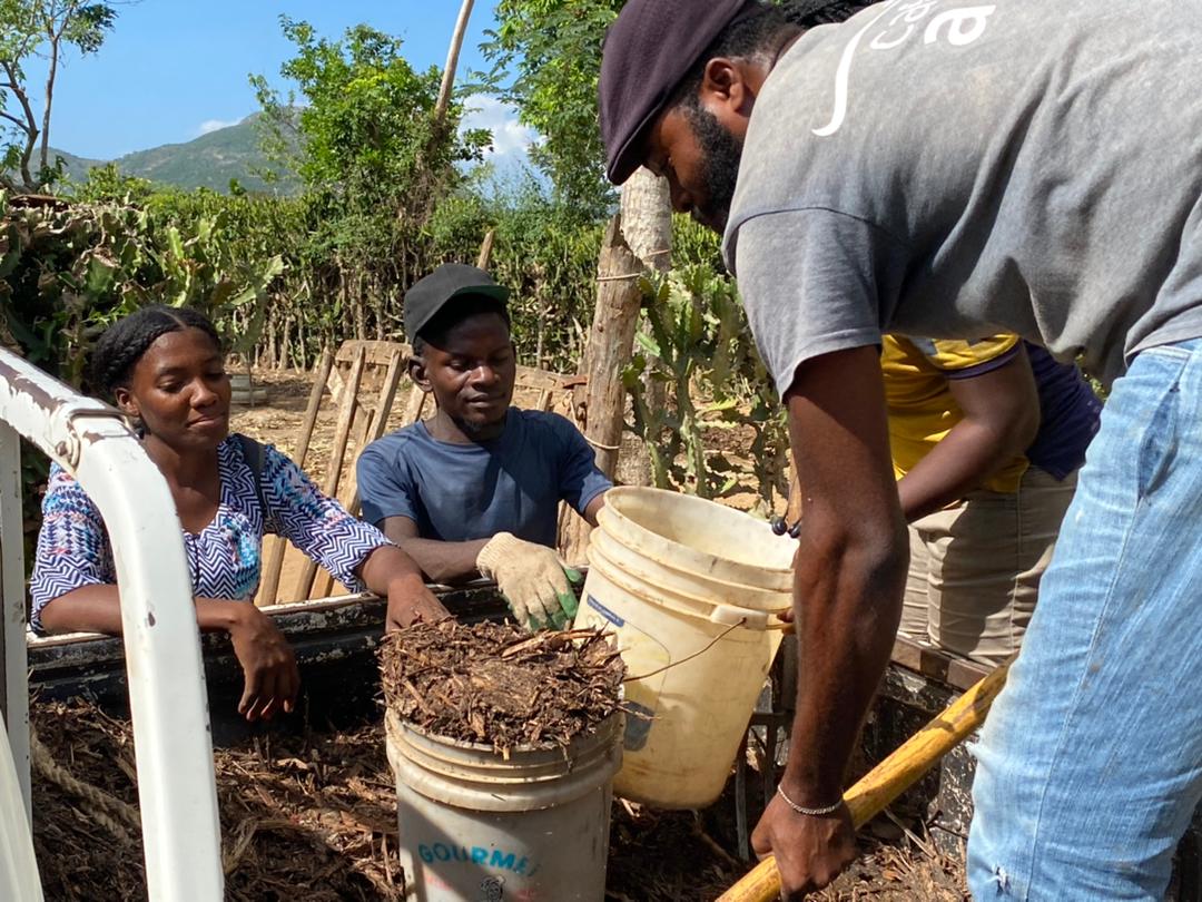 Interns working in garden beds
