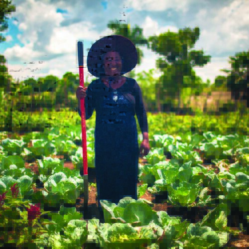 A smiling female farmer stands with her shovel in a flourishing cabbage patch, showcasing sustainable agricultural development and self-sufficiency through Many Hands.