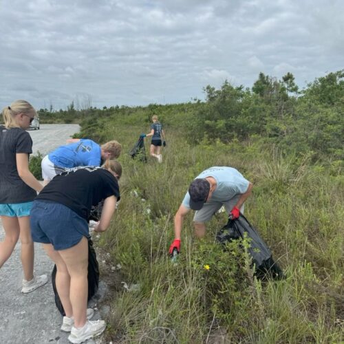 Immanuel CRC youth team members bend down into tall grass to clear away residual storm debris and wires during a community service project in Abaco.