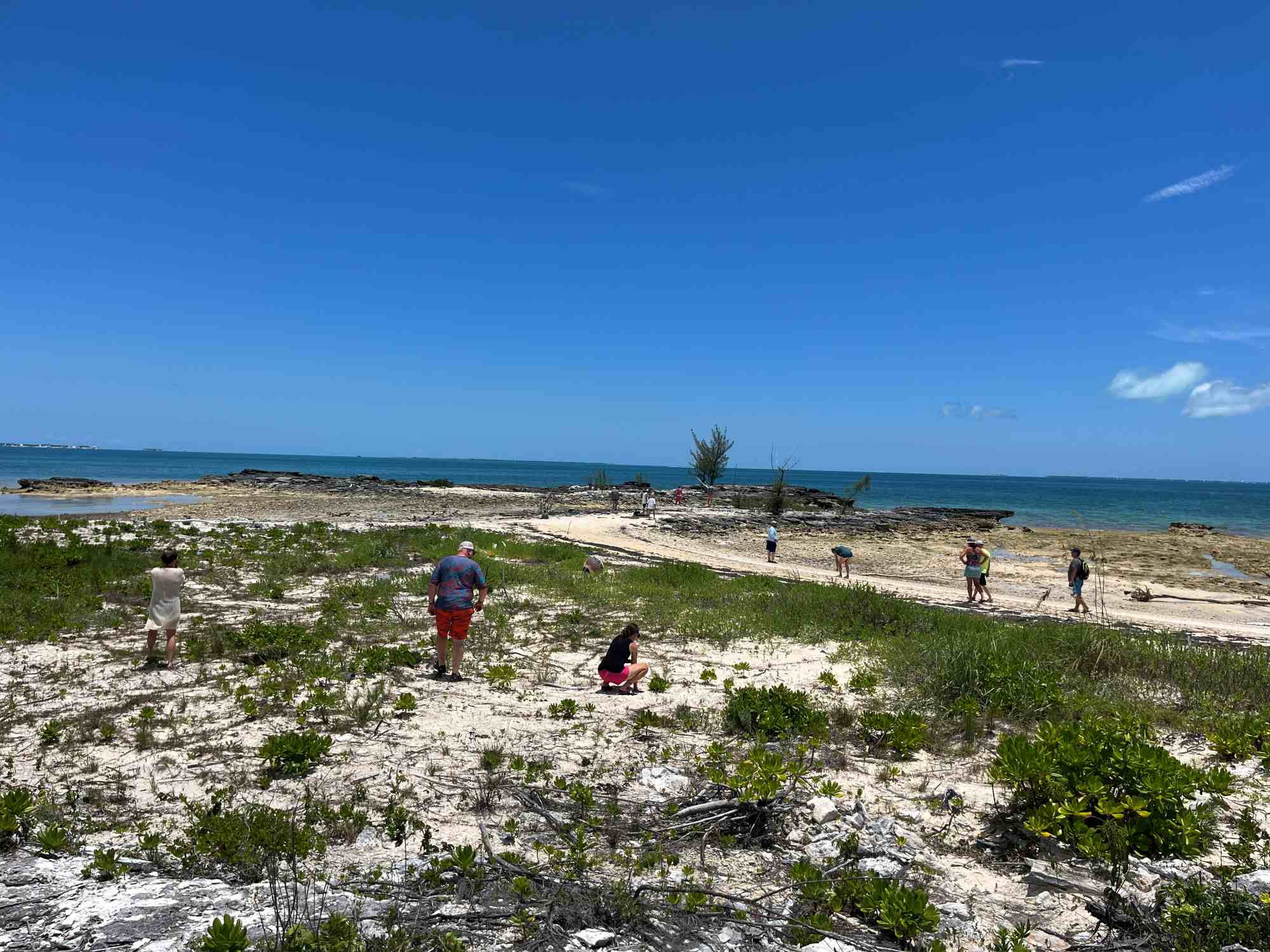 Celebrate Church team members on the beach praying over a potential permanent ministry site for Many Hands' community programs in Abaco.