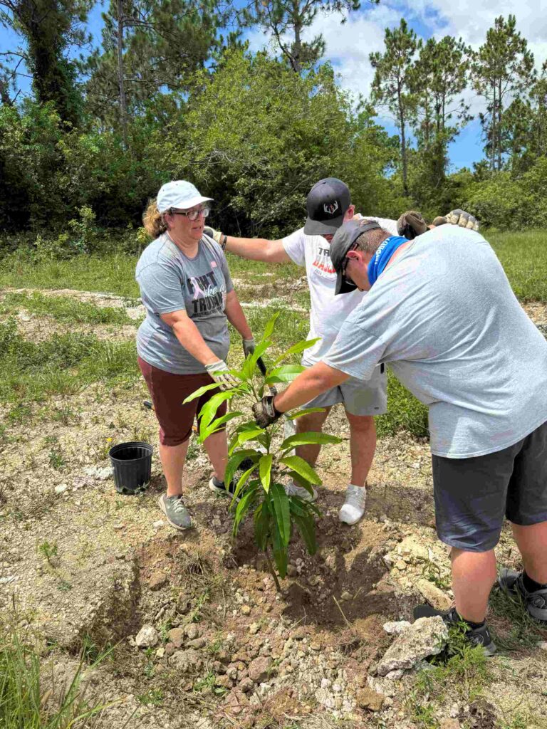 Celebrate Church impact team volunteers work together to plant young saplings in a local orchard, advancing sustainable agriculture and food security initiatives in Abaco.