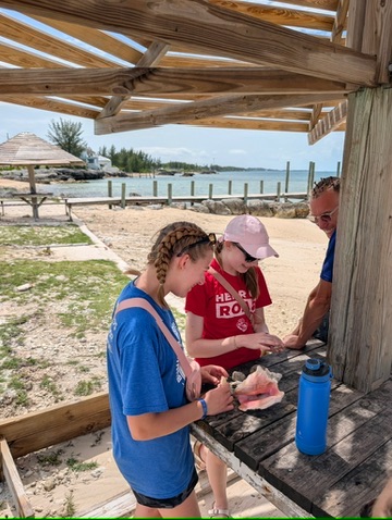 Many Hands team members gather around a rustic picnic table to inspect native conch shells, learning about Bahamian marine life and local island sustainability.