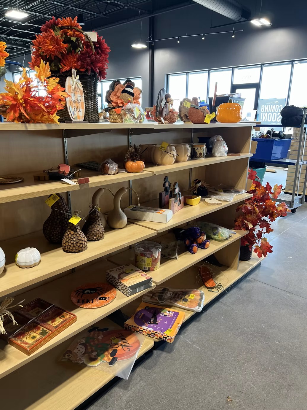 Wooden display shelves featuring autumn and Halloween seasonal decor at the new Jordan Creek Thrift Store.