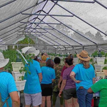 Impact team members tour a shade-cloth greenhouse at Driftwood Farms, discovering innovative vertical farming techniques used in Abaco.